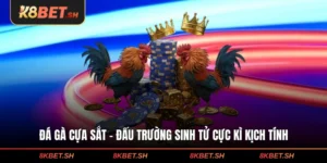 Đá Gà Cựa Sắt - Đấu Trường Sinh Tử Cực Kì Kịch Tính