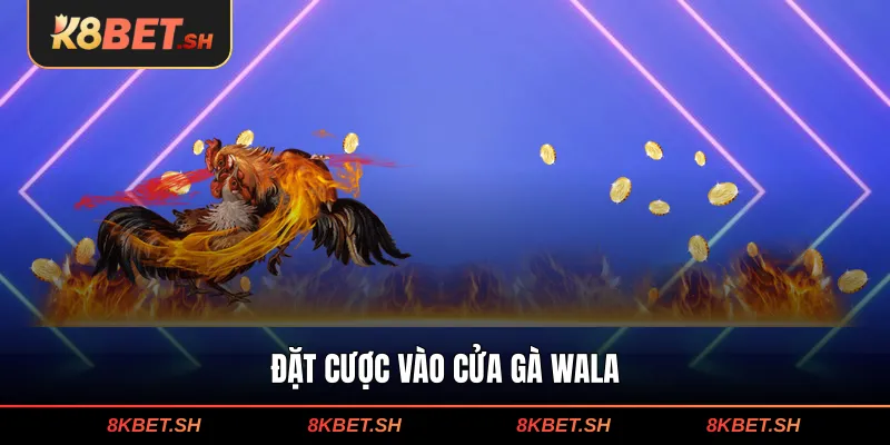 Đặt cược vào cửa gà Wala