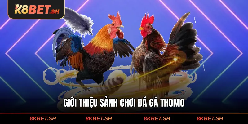 Giới thiệu sảnh chơi đá gà Thomo