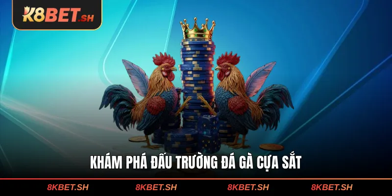 Khám phá đấu trường đá gà cựa sắt