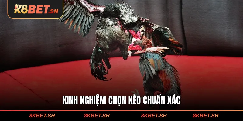 Kinh nghiệm chọn kèo chuẩn xác