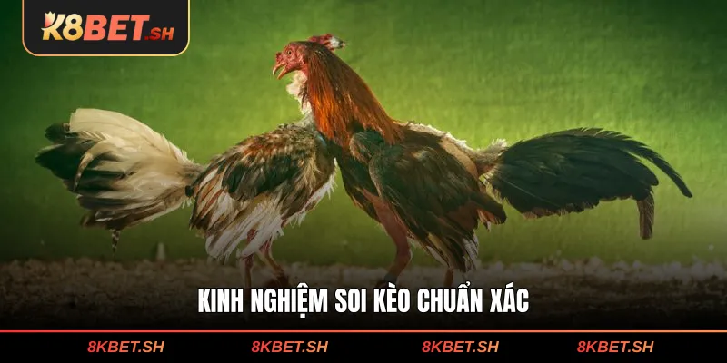 Kinh nghiệm soi kèo chuẩn xác