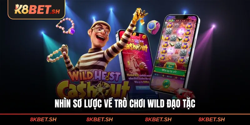 Nhìn sơ lược về trò chơi Wild đạo tặc