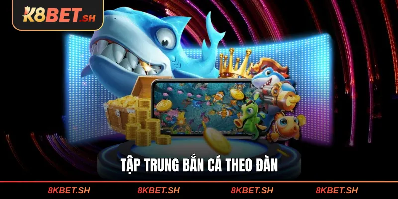 Tập trung bắn cá theo đàn